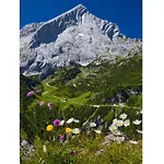 Falkenstein Апартаменты