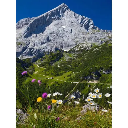 Falkenstein Διαμέρισμα