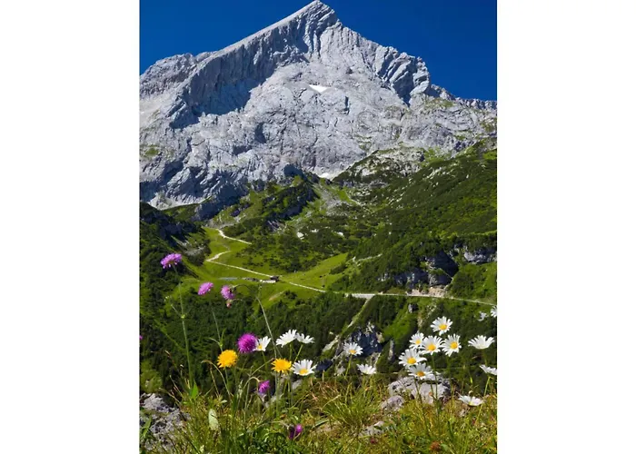 Falkenstein Διαμέρισμα